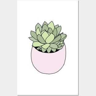 Green succulent in flowerpot Posters and Art